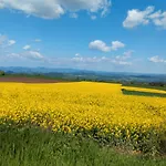 La Vallee De La Loire *