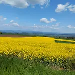 La Vallee De La Loire *