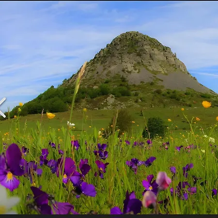 La Vallee De La Loire *