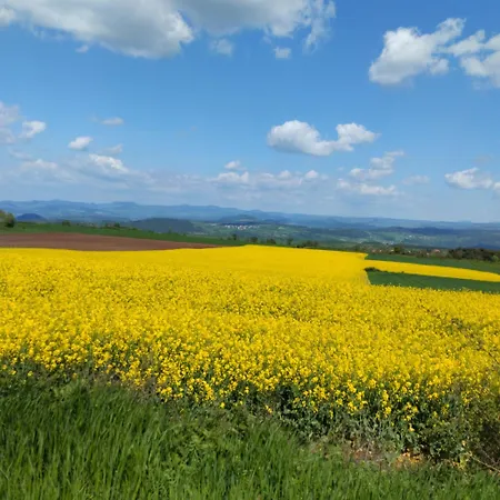 La Vallee De La Loire *