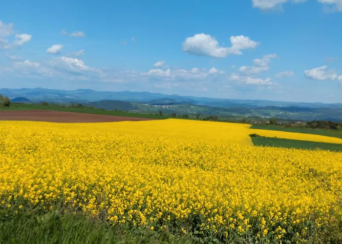 La Vallee De La Loire *